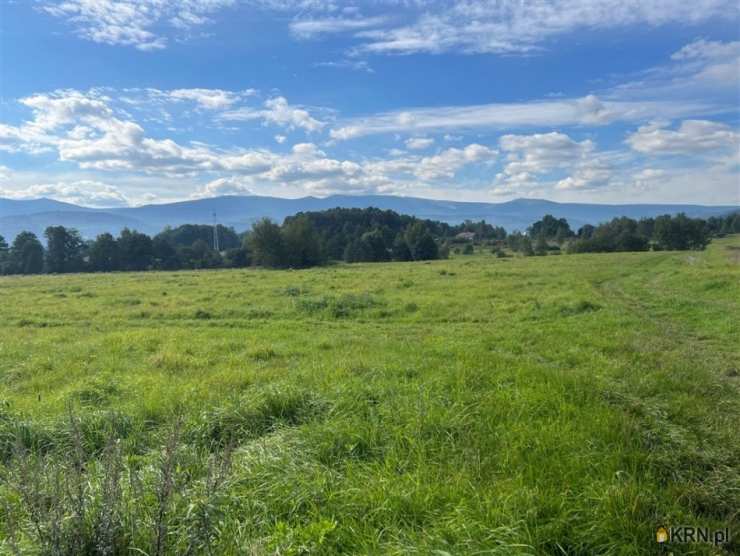 Wojcieszyce, ul. , , Działki  na sprzedaż