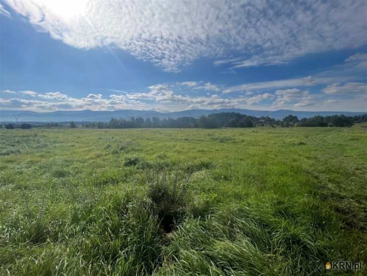 , Wojcieszyce, ul. , Działki  na sprzedaż