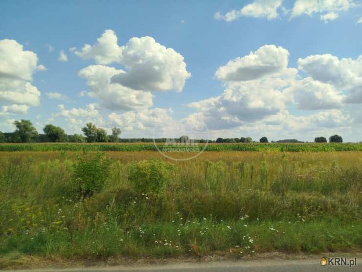 , Kliszkowice, ul. , Działki  na sprzedaż