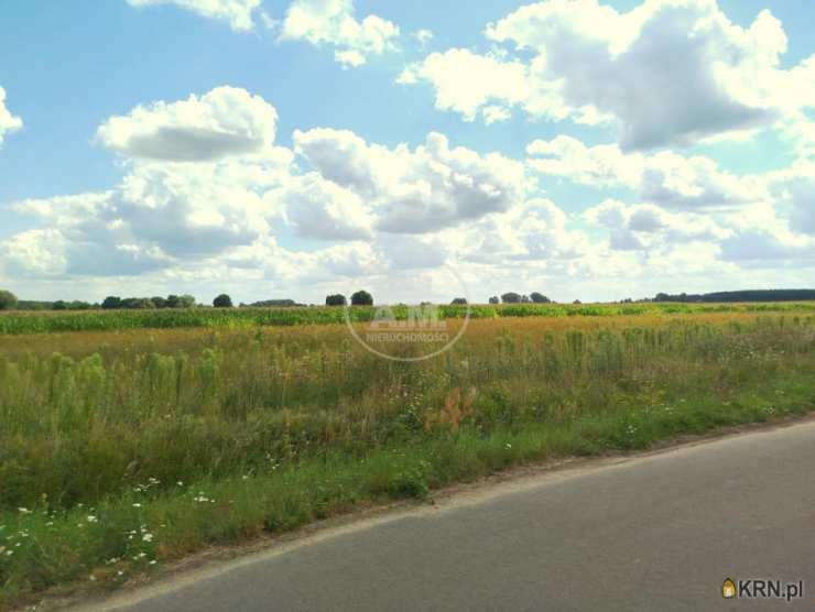 , Działki  na sprzedaż, Kliszkowice, ul. 
