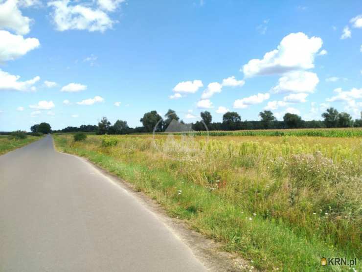 Działki  na sprzedaż, Kliszkowice, ul. , 