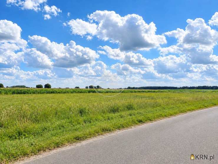 Działki  na sprzedaż, Kliszkowice, ul. , 