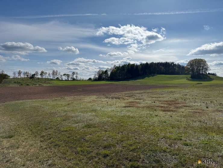 Działki  na sprzedaż, Borzestowo, ul. , 