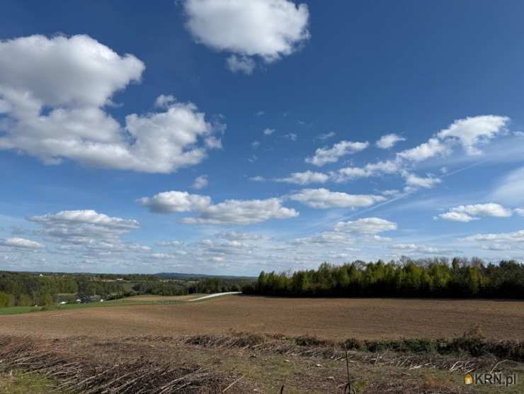 Działki  na sprzedaż, , Borzestowo, ul. 