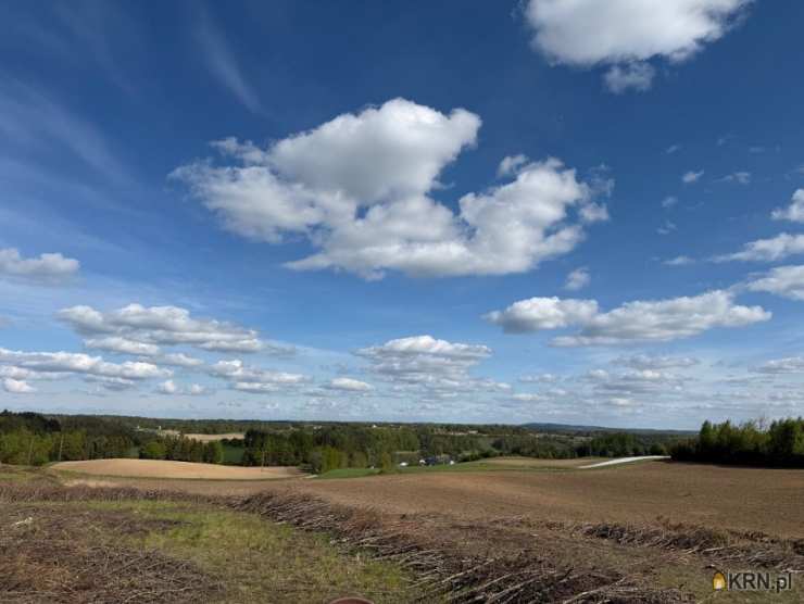 Borzestowo, ul. , Działki  na sprzedaż, 