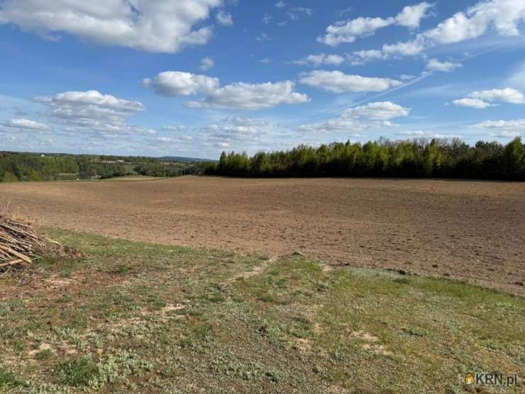 , Borzestowo, ul. , Działki  na sprzedaż