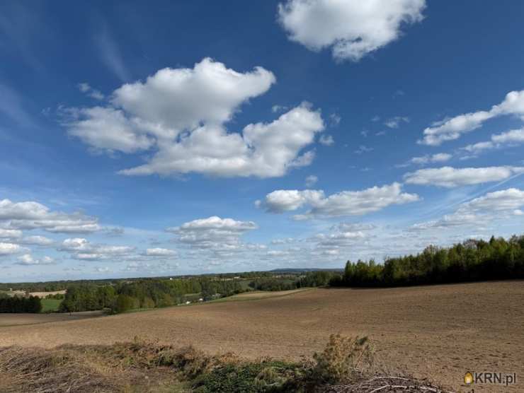 , Działki  na sprzedaż, Borzestowo, ul. 