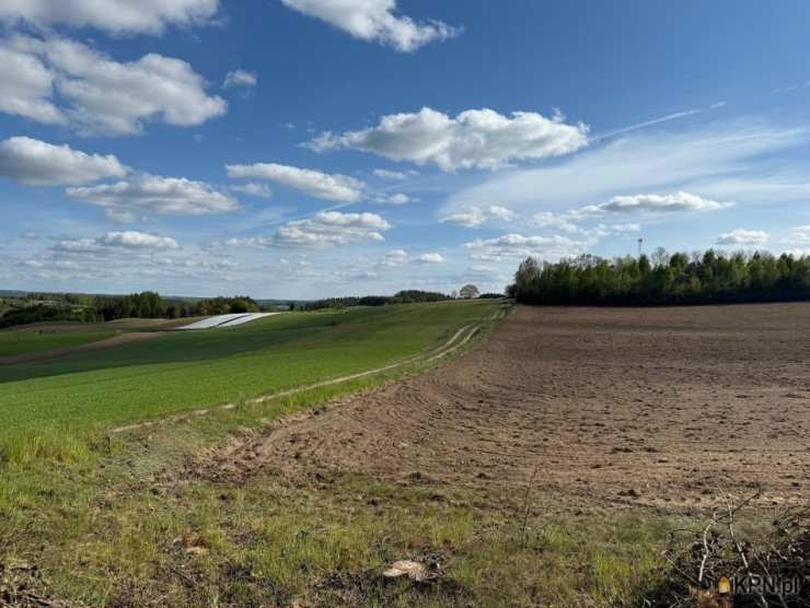 , Działki  na sprzedaż, Borzestowo, ul. 
