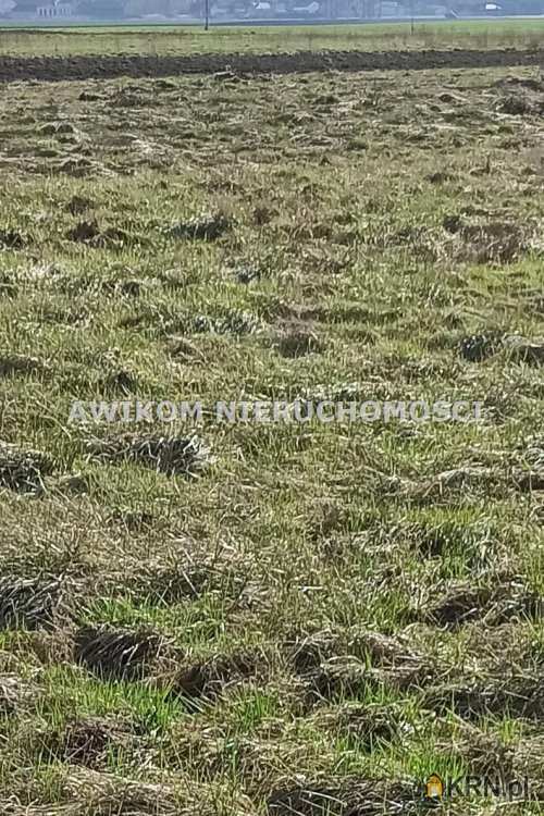 Działki  na sprzedaż, , Chyliczki, ul. 