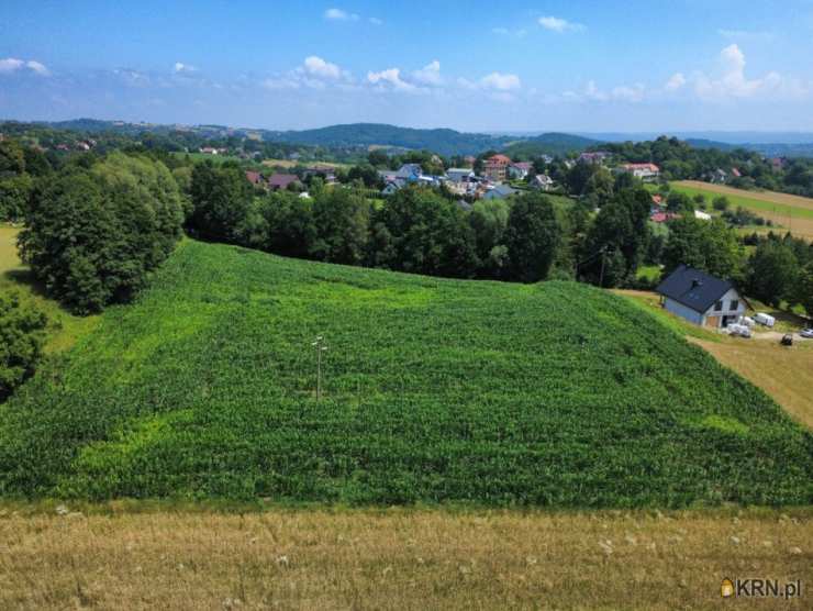 Działki  na sprzedaż, , Grajów, ul. 