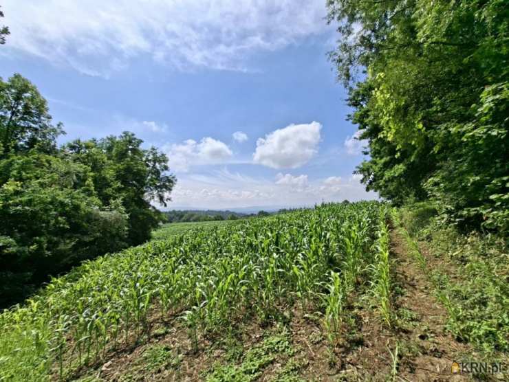 Grajów, ul. , Działki  na sprzedaż, 