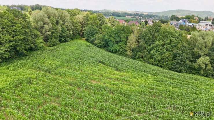 Grajów, ul. , Działki  na sprzedaż, 