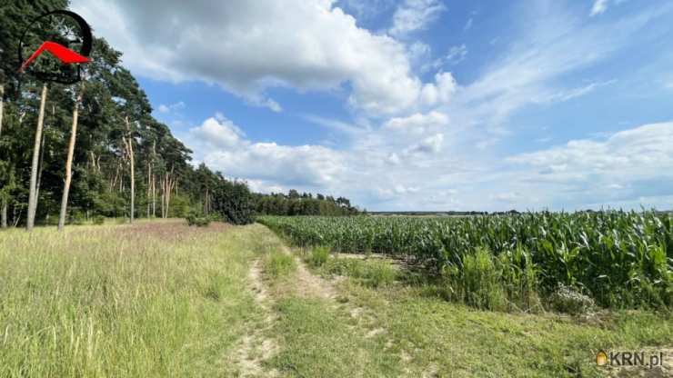 , Łabiszyn, ul. , Działki  na sprzedaż