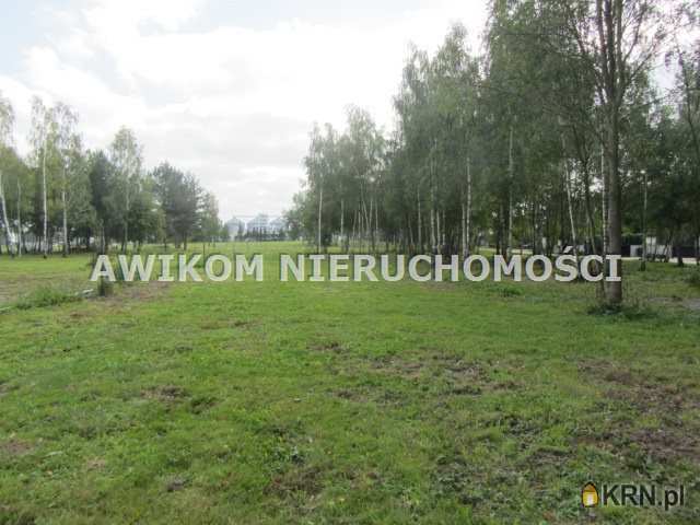 Radziejowice-Parcel, ul. , Działki  na sprzedaż, 