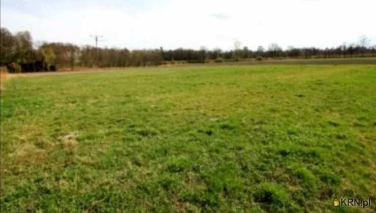 Działki  na sprzedaż, Hryniewicze, ul. , 