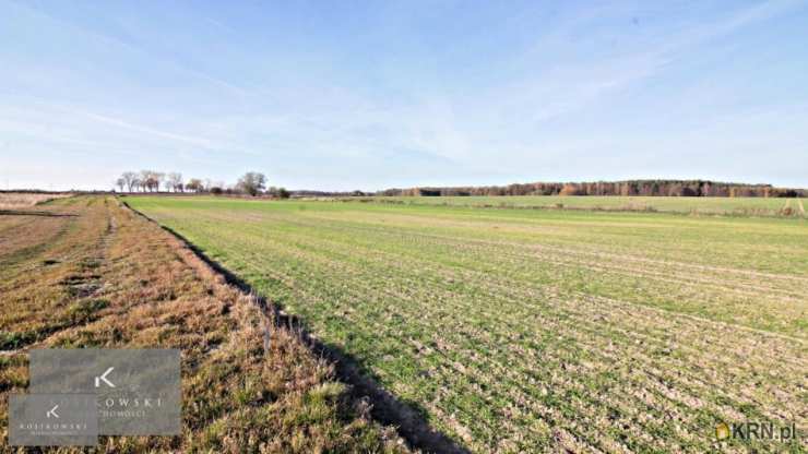 Namysłów, ul. , Działki  na sprzedaż, 