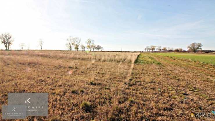 Namysłów, ul. , , Działki  na sprzedaż