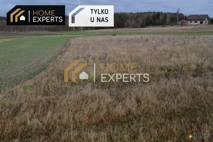 Działki  na sprzedaż, Robakowo, ul. Zacisze, 