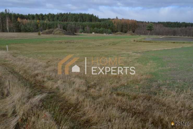 , Robakowo, ul. Zacisze, Działki  na sprzedaż