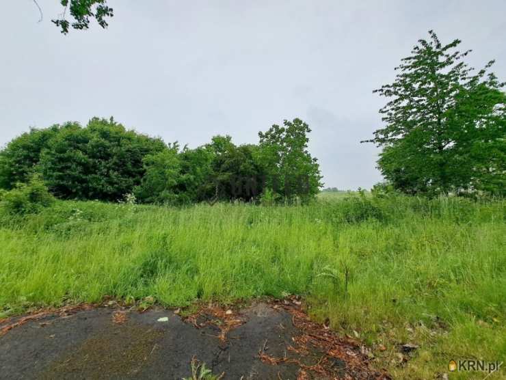 Działki  na sprzedaż, Kostomłoty, ul. , 
