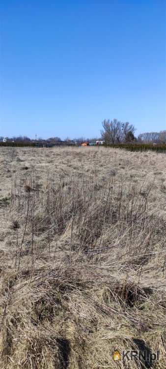 Działki  na sprzedaż, Warszawa, Białołęka/Grodzisk, ul. Przyrodnicza, 