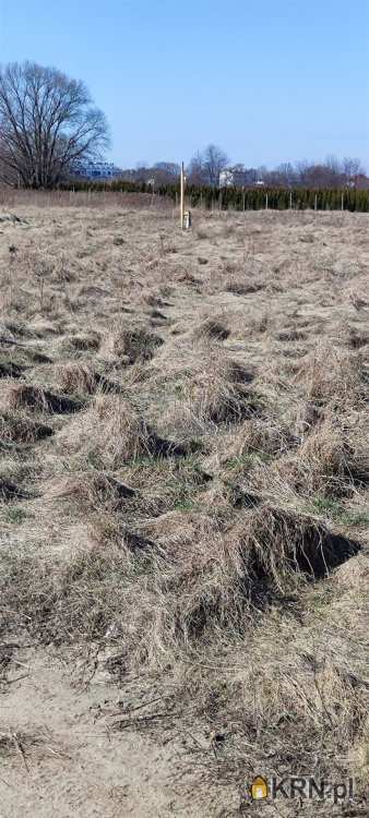 Działki  na sprzedaż, , Warszawa, Białołęka/Grodzisk, ul. Przyrodnicza