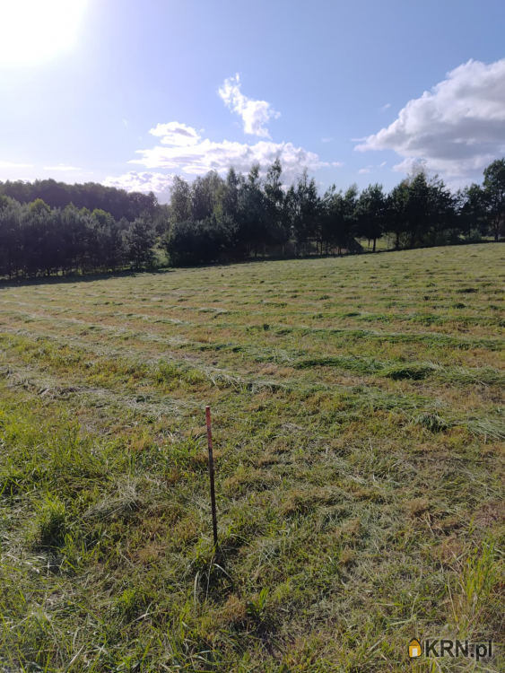 Działki  na sprzedaż, Woszczele, ul. , 