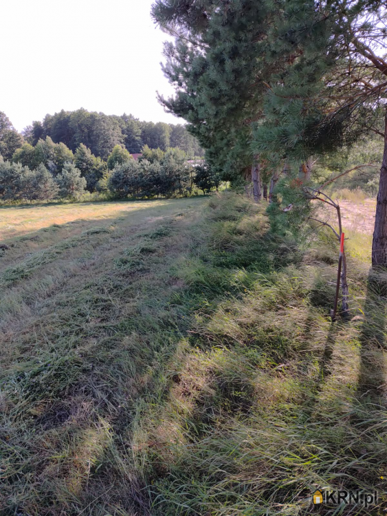 , Działki  na sprzedaż, Woszczele, ul. 