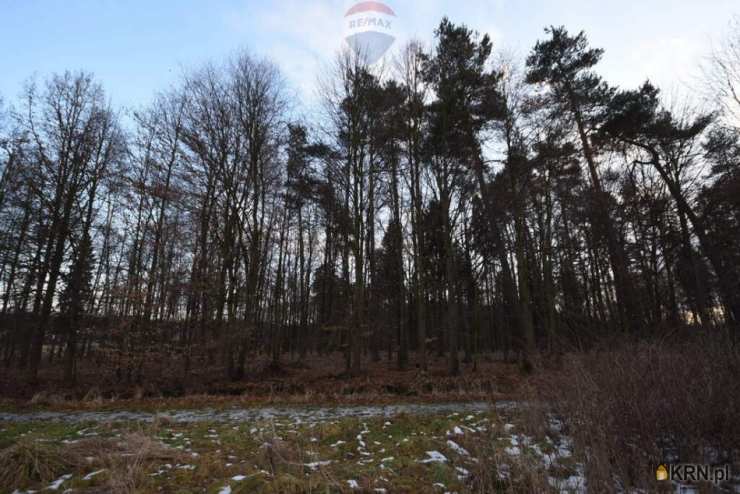 RE/MAX Polska, Działki  na sprzedaż, Kobiór, ul. 