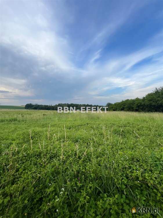 Działki  na sprzedaż, Międzyrzecze Górne, ul. , 