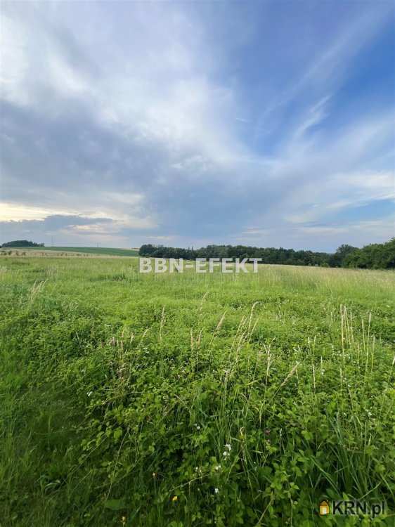 Działki  na sprzedaż, , Międzyrzecze Górne, ul. 