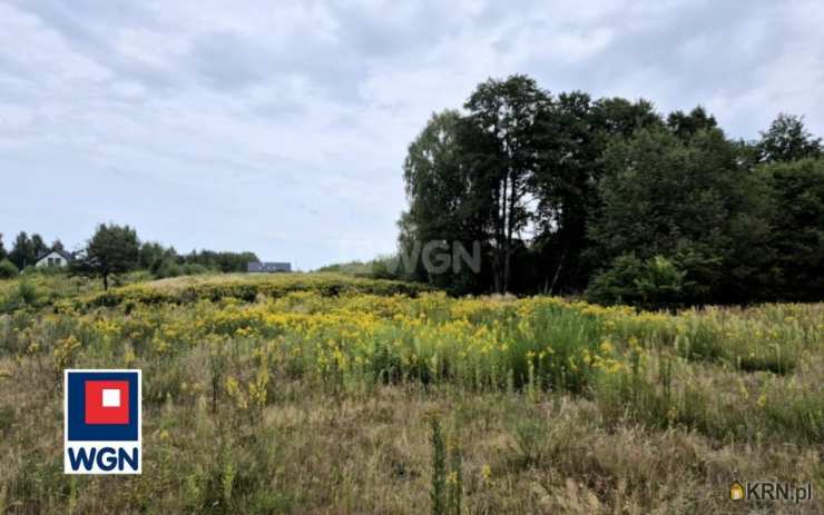 Działki  na sprzedaż, Przyłęk, ul. , 