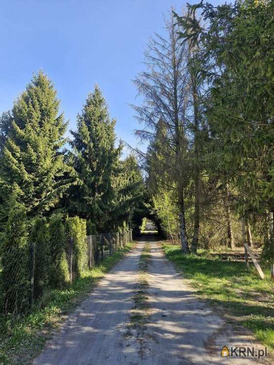 Działki  na sprzedaż, Pasikonie, ul. , 