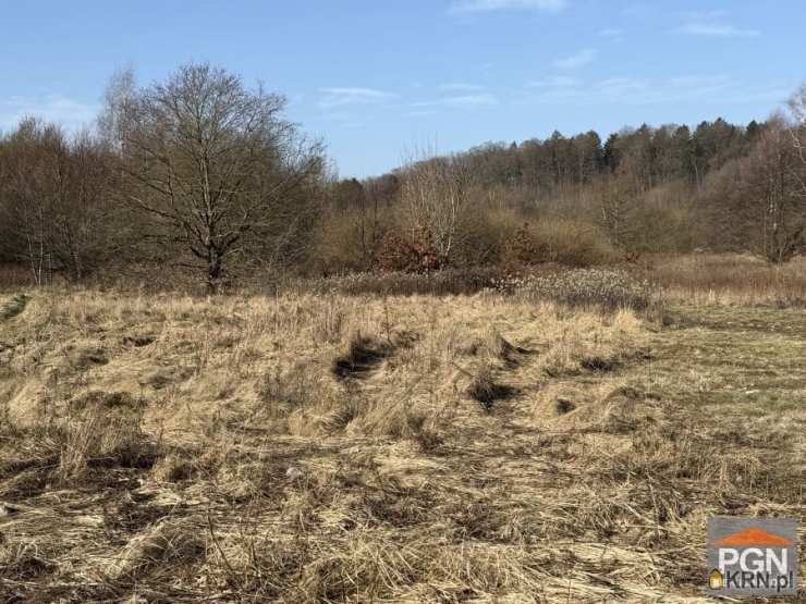 Pomorska Giełda Nieruchomości, Działki  na sprzedaż, Gryfice, ul. 