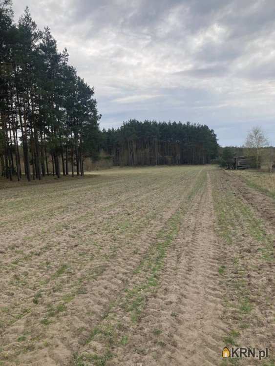 , Działki  na sprzedaż, Jaryszewo, ul. 