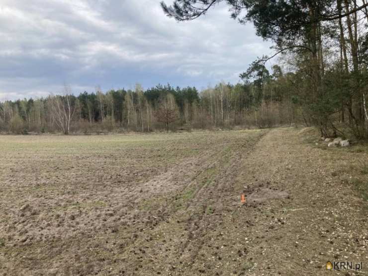 Działki  na sprzedaż, Jaryszewo, ul. , 