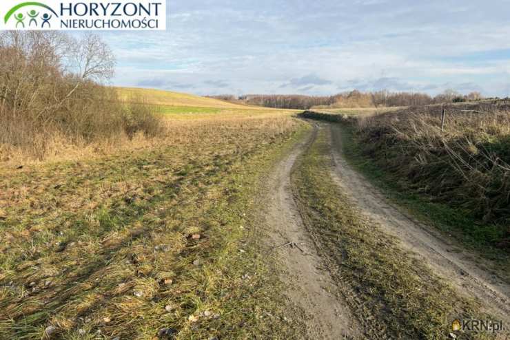 , Działki  na sprzedaż, Lisewiec, ul. 