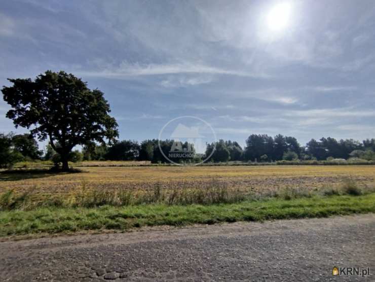 , Działki  na sprzedaż, Chodlewo, ul. 