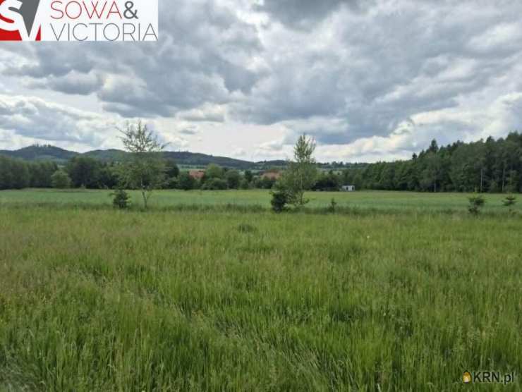 Borówno, ul. , , Działki  na sprzedaż