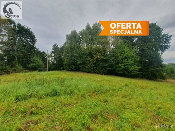 Działki  na sprzedaż, Chorągwica, ul. , 