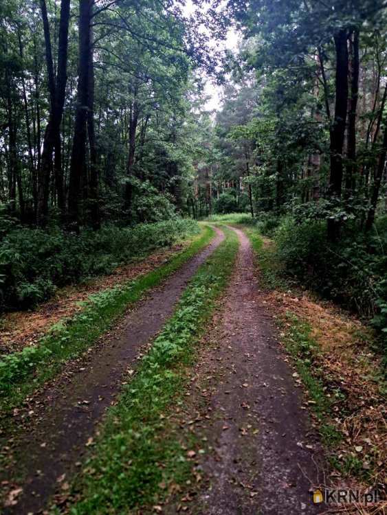 Czeszyce, ul. , , Działki  na sprzedaż
