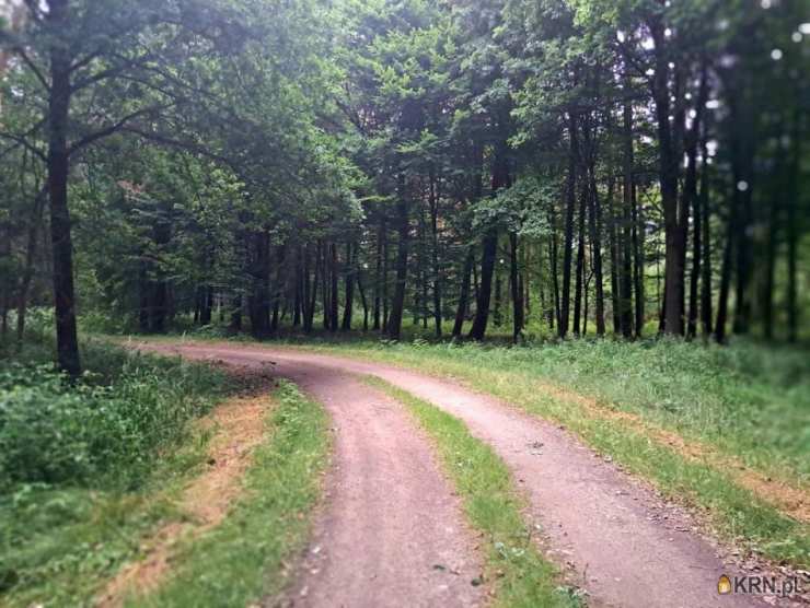 , Działki  na sprzedaż, Czeszyce, ul. 