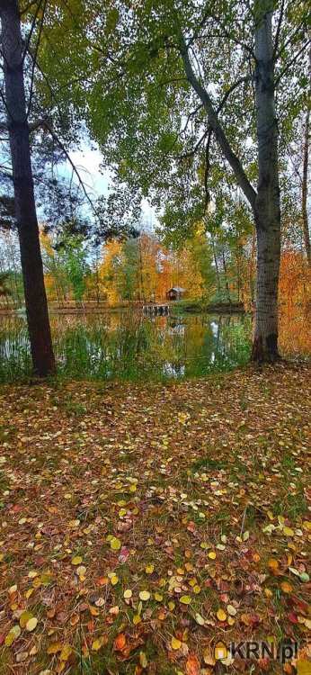 , Działki  na sprzedaż, Czeszyce, ul. 