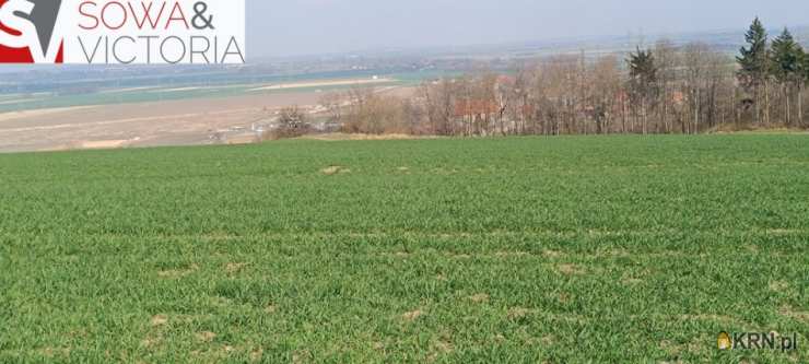 Działki  na sprzedaż, Dobromierz, ul. , 