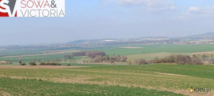 Biuro Nieruchomości SOWA, Działki  na sprzedaż, Dobromierz, ul. 