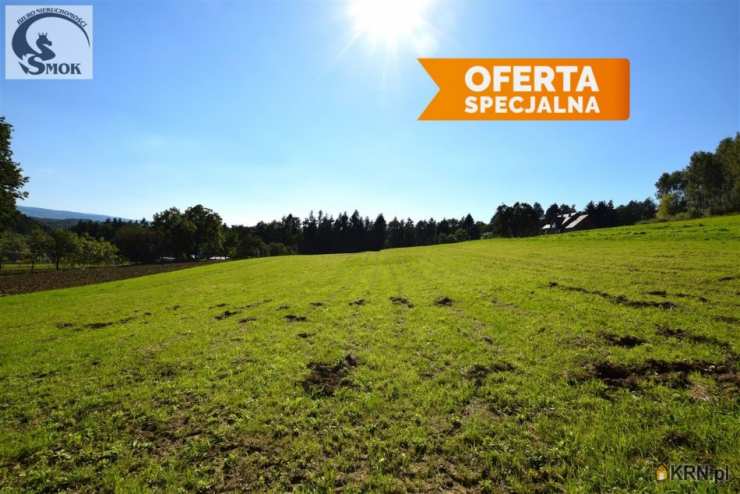 Działki  na sprzedaż, Izdebnik, ul. , 