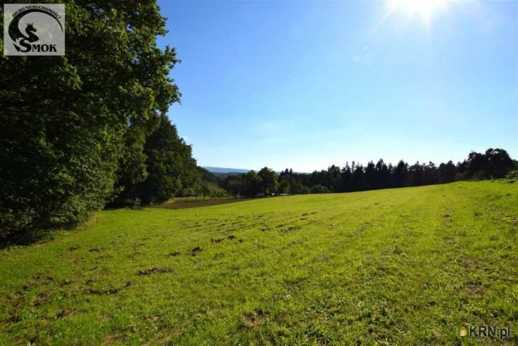 Działki  na sprzedaż, , Izdebnik, ul. 