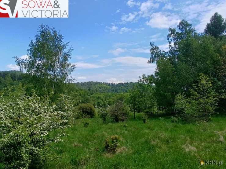 Działki  na sprzedaż, , Jedlina-Zdrój, ul. 