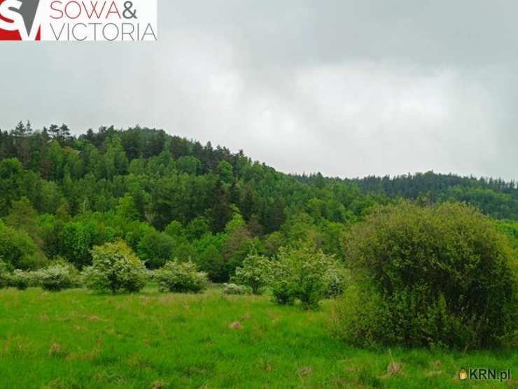 Jedlina-Zdrój, ul. , Działki  na sprzedaż, 