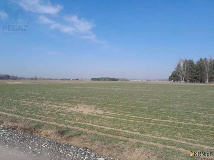 Pegaz Nieruchomości, Działki  na sprzedaż, Kuźnik, ul. 